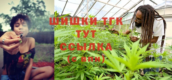 Альфа ПВП Ельня