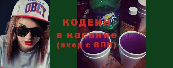 хмурый Касимов