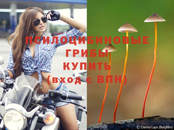 альфа пвп Заволжье