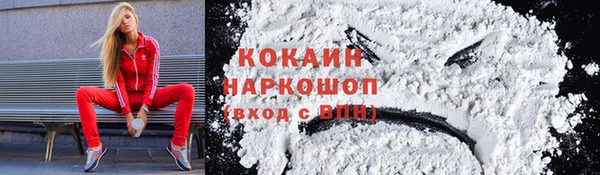 дмт Заводоуковск