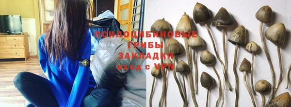 дурь Заволжск