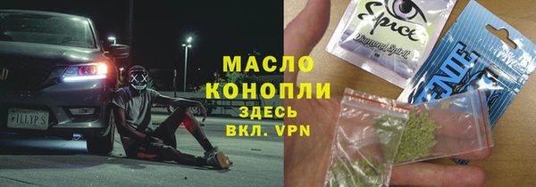 дмт Заводоуковск