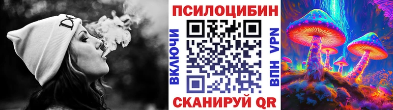 где можно купить наркотик  Волгореченск  Псилоцибиновые грибы мухоморы 