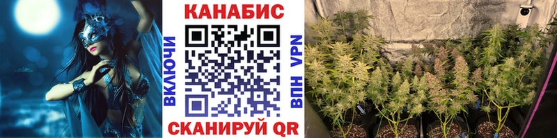 Каннабис семена  Волгореченск 